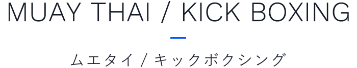 ムエタイ/キックボクシング