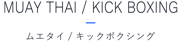 ムエタイ/キックボクシング
