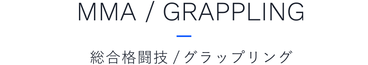 総合格闘技/グラップリング