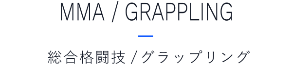 総合格闘技/グラップリング